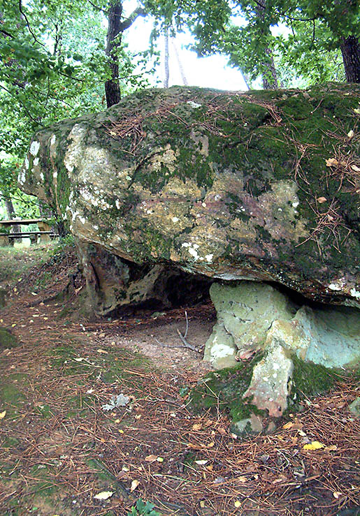 This is a close-up of the eastern end from the north. The dolmen is difficult to photograph from this side, as it situated on the top of a steep northfacing slope in a copse of trees. 
Shortly after taking this photo, I narrowly cheated death by tumbling down the slope, but this is the last photograph my Fuji Finepix 6900 ever took as it was not so lucky. May it rest in peace.