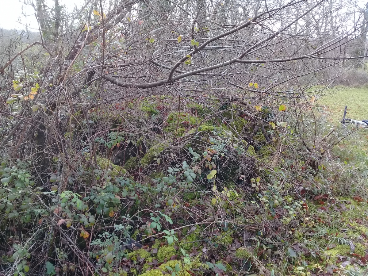 Saint Sulpice de Mareuil Dolmen