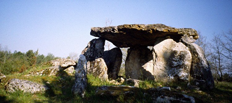 Click for the gallery page to add comments and vote (PID:15237) Dolmen de Peyrelevade (Paussac)