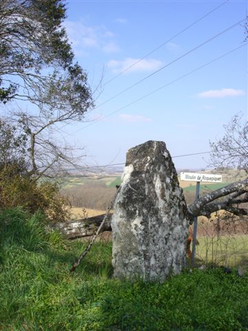 Menhir du Râle à Brugnac 