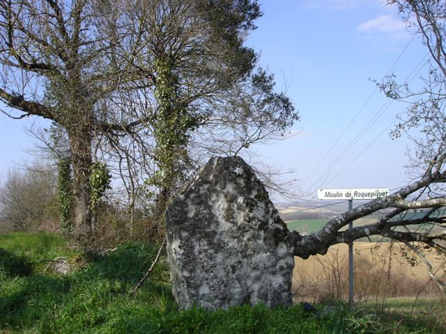 Menhir du Râle à Brugnac, de face. 