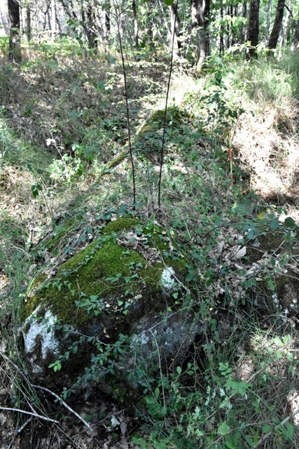 Table du dolmen de Peyreplantade, couverte de végétation, St Méard de Gurçon; Site in Aquitaine:Dordogne (24) France