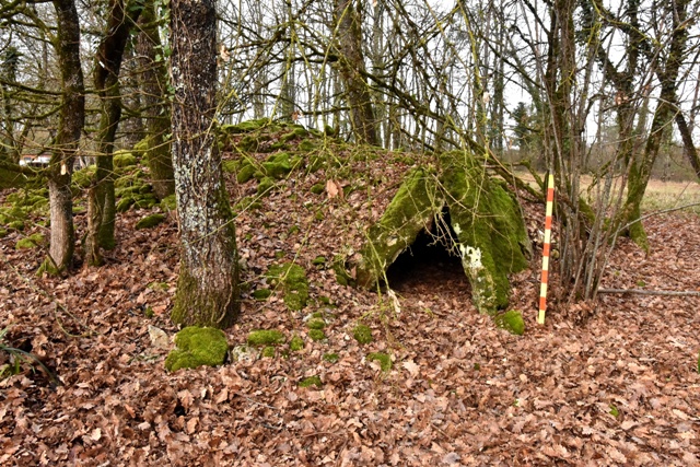 Dolmen de la Pelletenie