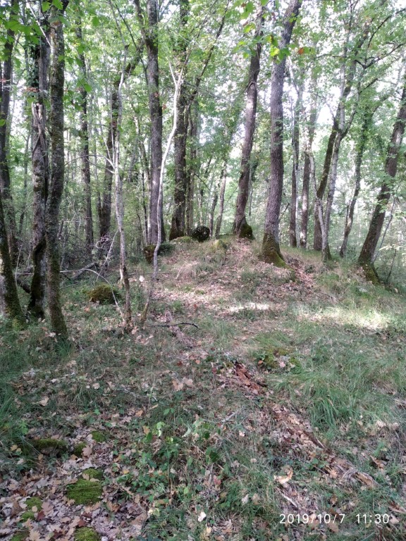 Allée de Chanteloube
