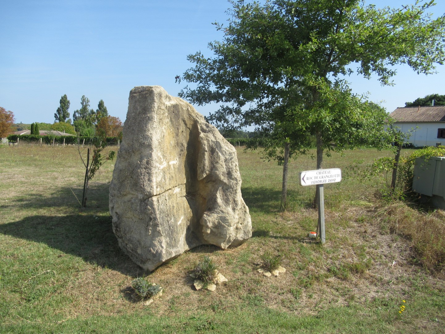 This stone is nearby the Dolmen de la Mouleyre, which we failed to find because we think that the farmer has planted bee hives in front of it and it isn't possible to get past them. However, this led us to discover this standing stone.