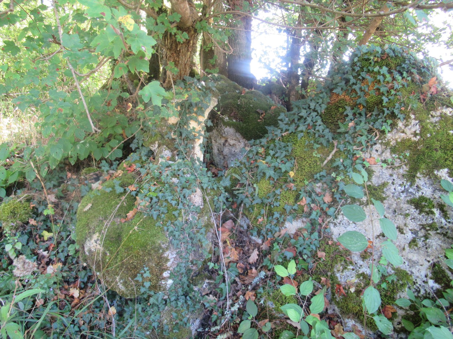 Click for the gallery page to add comments and vote (PID:186300) Le Breuil