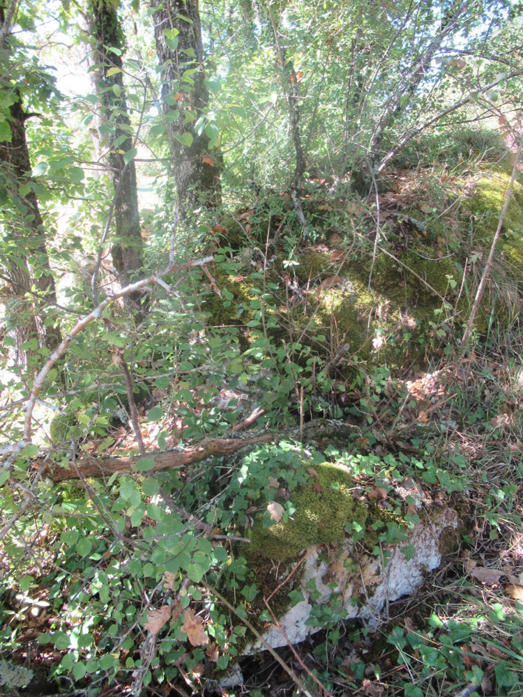 Click for the gallery page to add comments and vote (PID:186351) Le Breuil