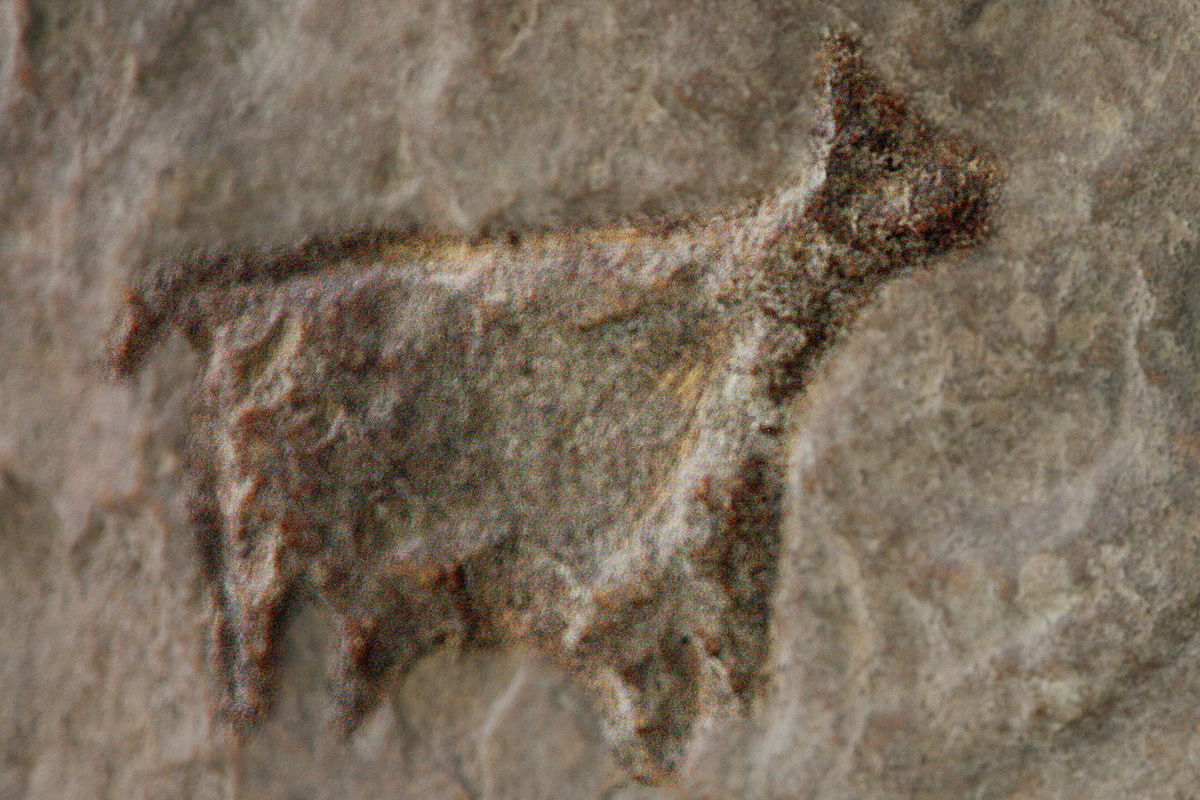 Grotte de l'Oreille d'Enfer