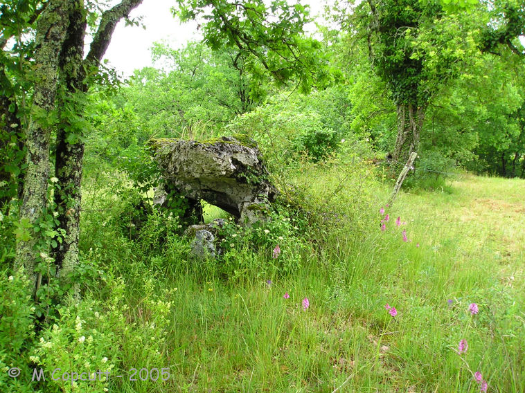 Dolmen dit la Peyrelevade (Beaumont)