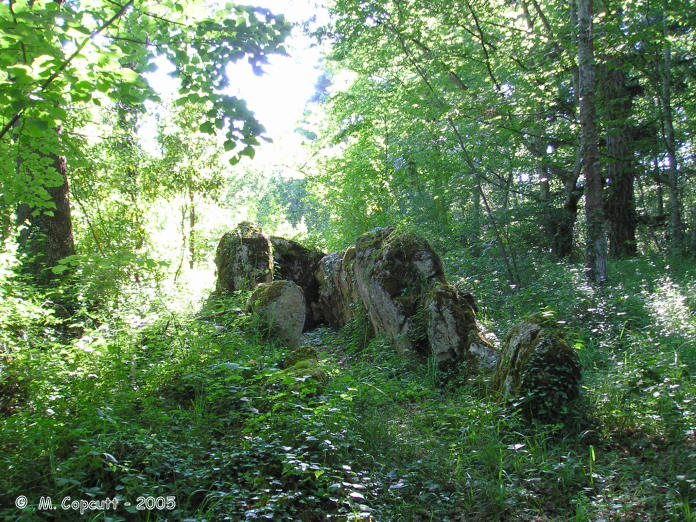 Pitray Allée couverte. 

The remains are 10 metres in length with large side slabs up to 1.7 metres high placed about 1.2 metres apart making a chamber with an orientation of 074° but there are no cover stones. 