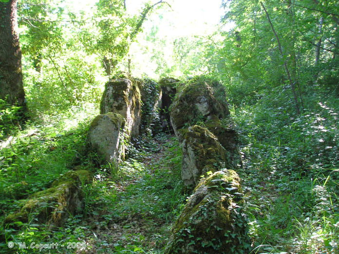 Pitray Allée couverte.

The remains are quite difficult to find, being overgrown as they are in some dense woodland, and it took us quite a while to find it.