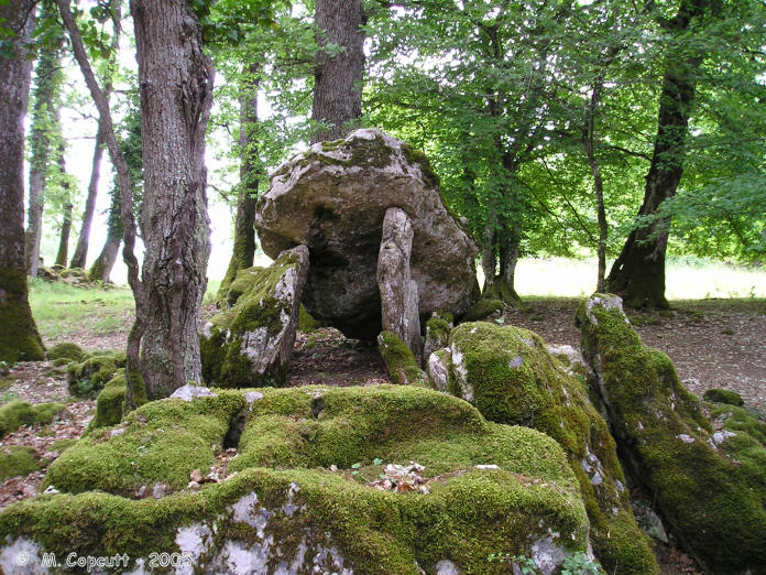 Sabatey Dolmen 1