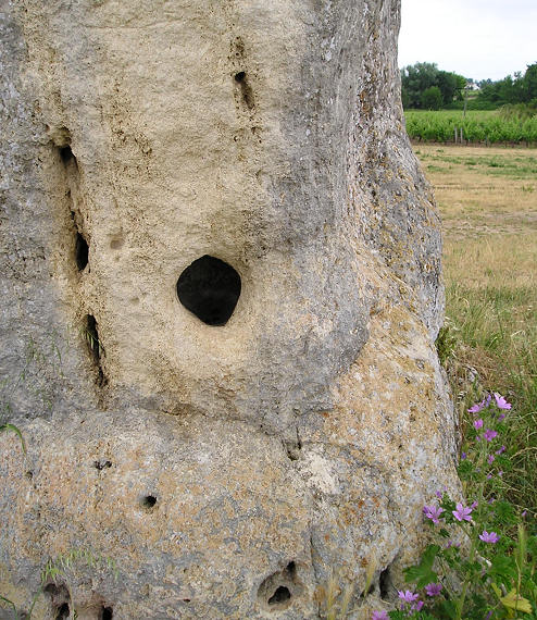 There is a little hollow in the bottom of it, apparently made for offerings to be placed in during the middle ages.

Probably about 15 cms in diameter, the hole extends inwards for about 30cms, and opens out to make a larger cavity, within which were various coins, pebbles flowers etc.