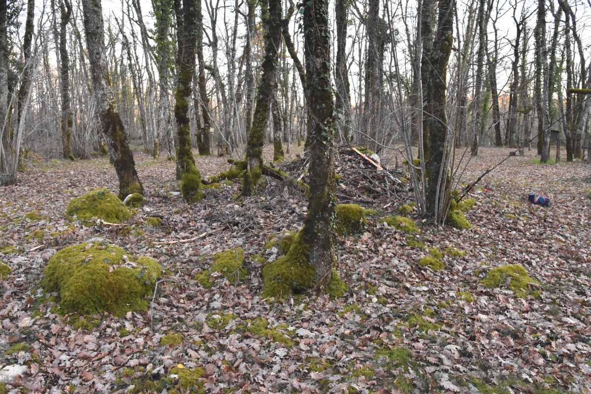 Dolmen de Panassac