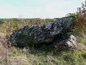 Click for the gallery page to add comments and vote (PID:88561) Dolmen de Palus