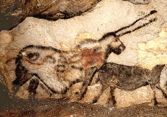 Unicorn in Lascaux cave.