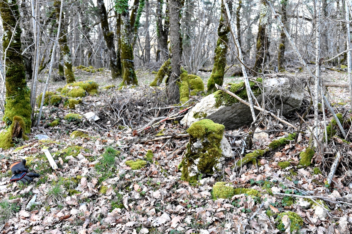 Dolmen de Panassac