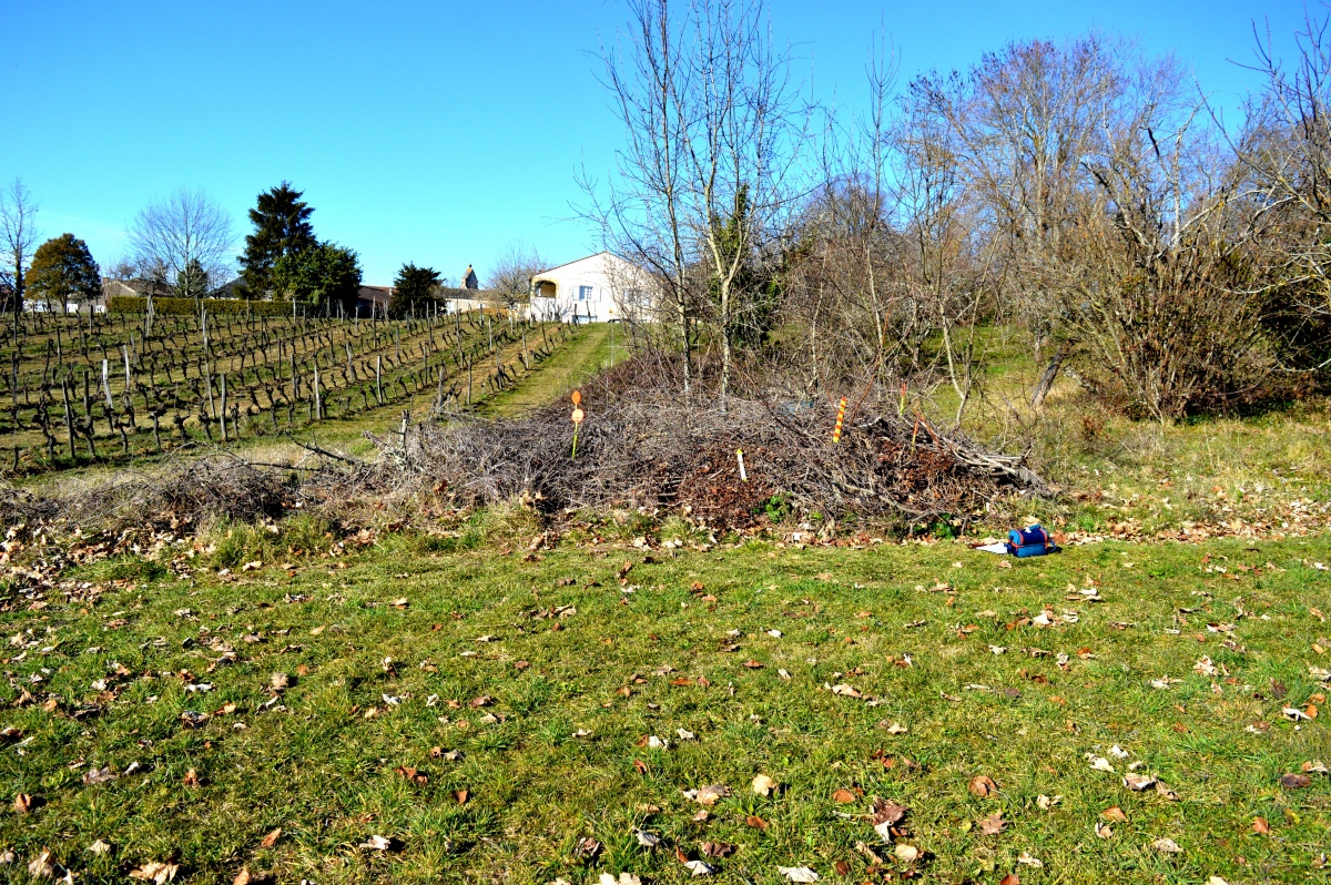 Dolmen Peyrelevade de Monbazillac