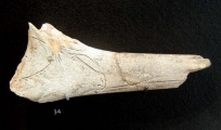 Baucouyé Tumuli - PID:23271