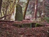 Menhir de Fixard - PID:113756
