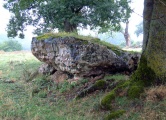 Le Breil Dolmen - PID:32811