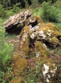 Maison du Loup dolmen 1 - PID:32932