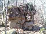 Menhir de Champredon - PID:239370