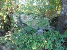Dolmen de Pincanelle