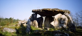 Dolmen de Peyrelevade (Paussac) - PID:15237