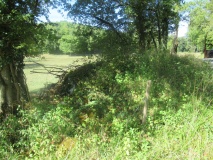 Le Breuil - PID:186307