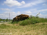 Beauroulet dolmen
