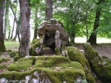 Sabatey Dolmen 1 submitted by thecaptain