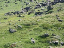 Arri cromlech 2