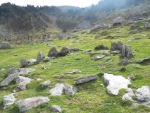 Larry cromlech