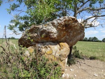 Dolmen de Peyre Nègre