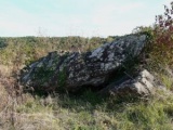 Dolmen de Palus - PID:88561