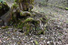 Dolmen de Sorges