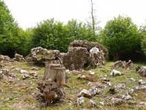 Maison du Loup dolmen 1