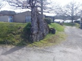 Menhir de Fouret - PID:239369