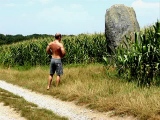 Menhir de Ger - PID:22275