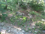 Col d'Arras Dolmen - PID:197622