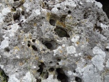 Allée couverte de Blanc - PID:177302