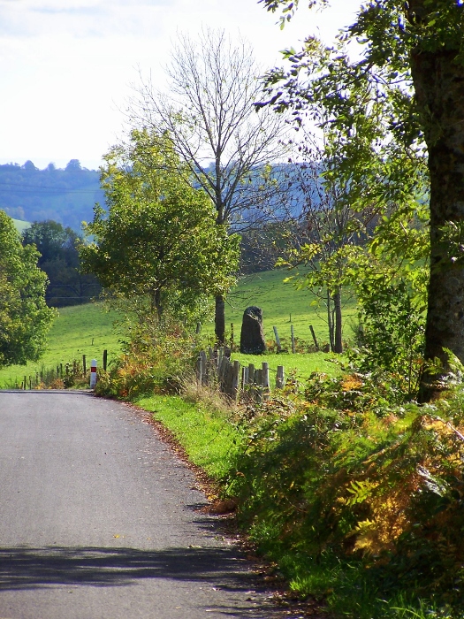 Click for the gallery page to add comments and vote (PID:114075) Menhir de Saint Simon 2