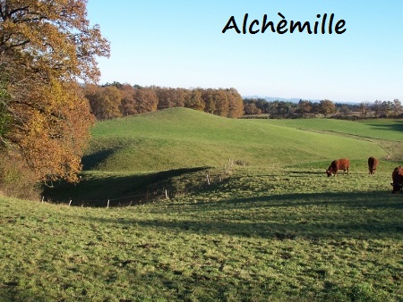 Nieudan burial chamber