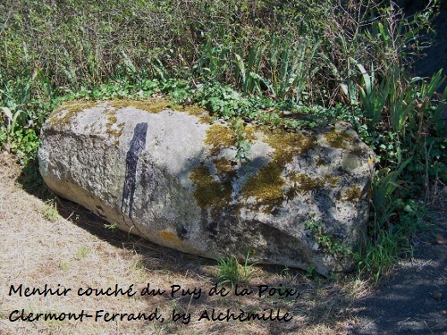 Menhir du Puy de la Poix