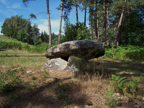 Dolmen de Pierre Fade (Lachamp)