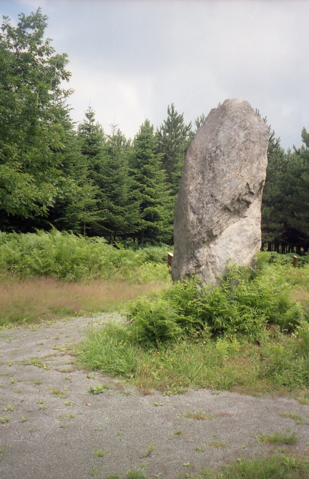 Brosses menhir