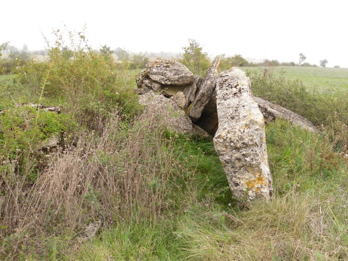 Click for the gallery page to add comments and vote (PID:83796) Dolmen de Surguières 1