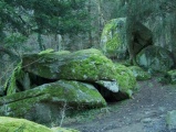 Dolmen de Samson submitted by alchemille
