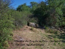 Menhir du Puy de la Poix